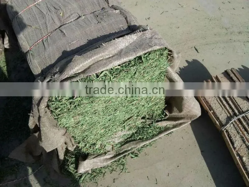 China stevia fanning for herbal tea