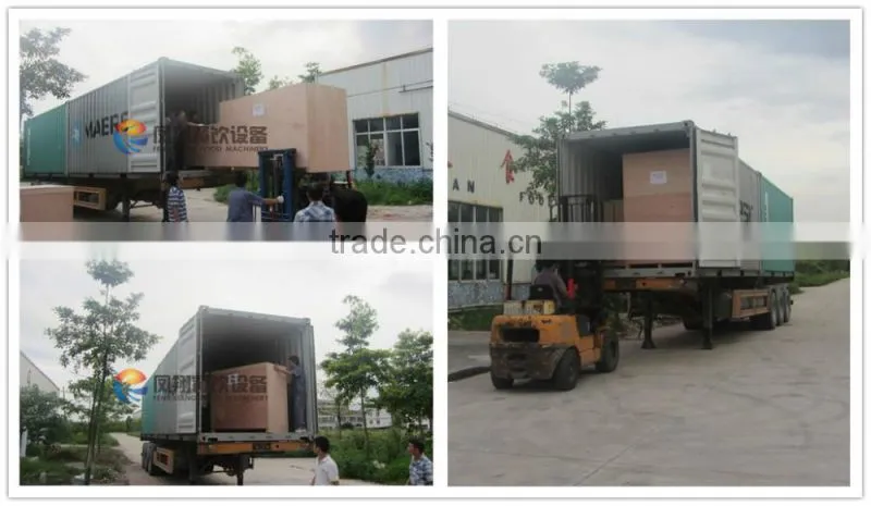 OG-606 CE Qualified Vegetable and Fruit Sorting Machine