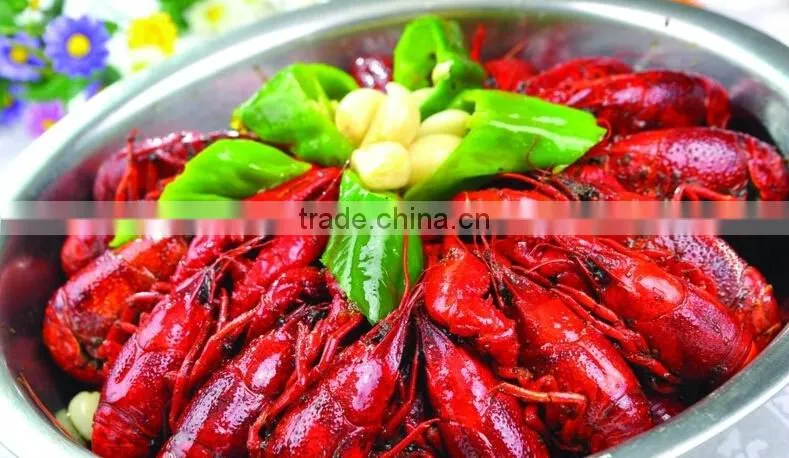 Shrimp grader machine /crayfish grading machine
