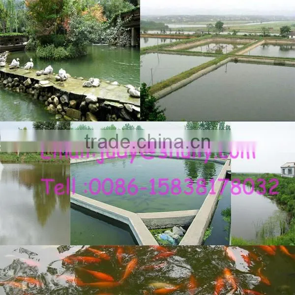 Automatic Fish Farm Feeder - fish feeder for pond - auto fish feeder