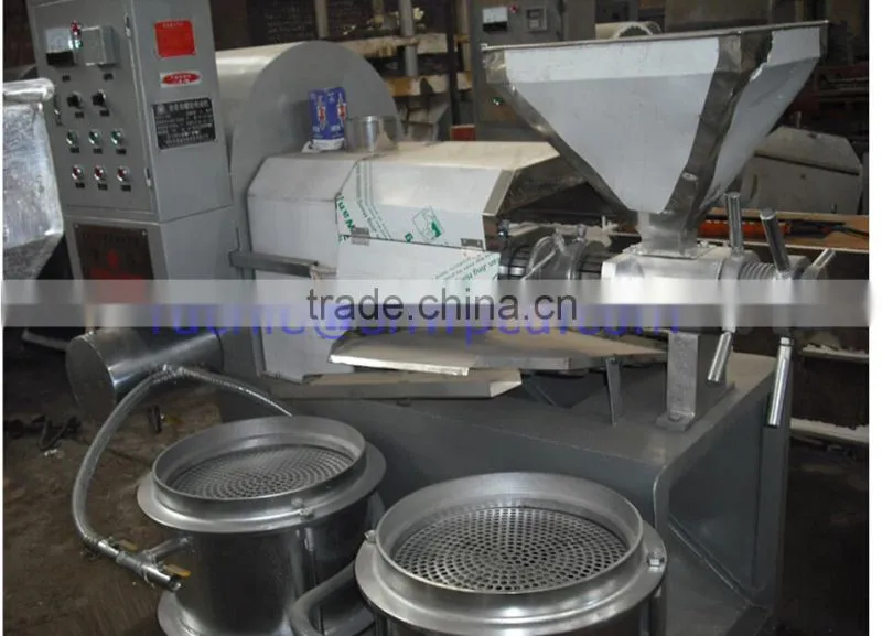 Automatic olive oil machine home olive oil cold press machine olive oil extraction machine