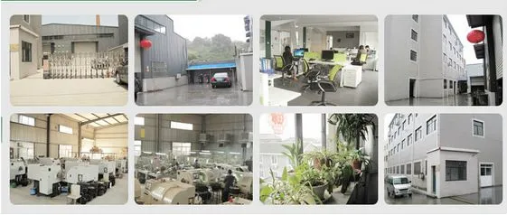 Youngpex company overview - view 2