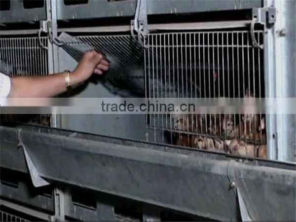 hot-sale good quality poultry farm layer chicken cage