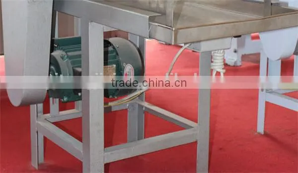 New commerical chinese noodle maker stainless steel noodle machine