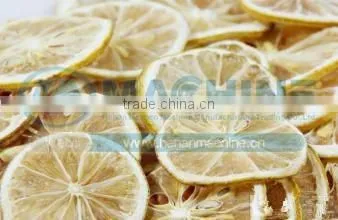 Stainless fruits dryer machine with lowest price