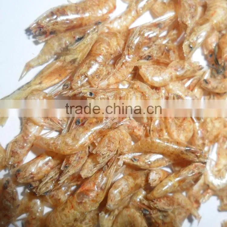 2cm Factory Supply Dried Shrimps For Tortoise Food ; Red Dried Shrimps