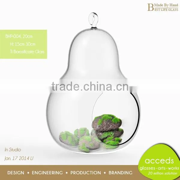 Clear Glass Hydroponic Pot
