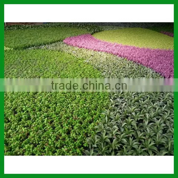 FO-GW018 Outdoor Green Plant Wall for Decor