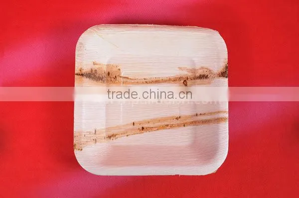 ARECA DISPOSABLE PLATES