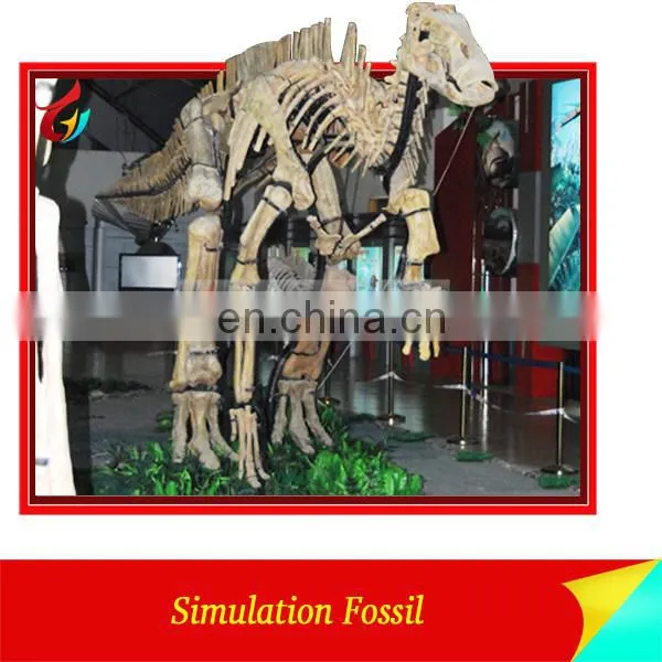 Hand made life size skeleton dinosaur fossil