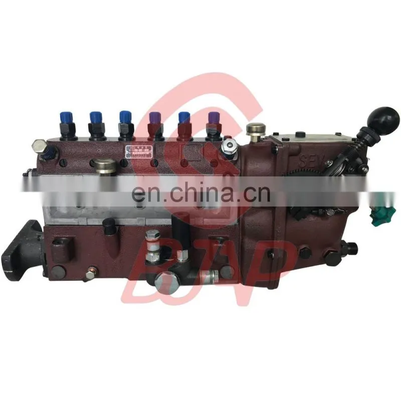 Injection Pump BH6B100YS28GB