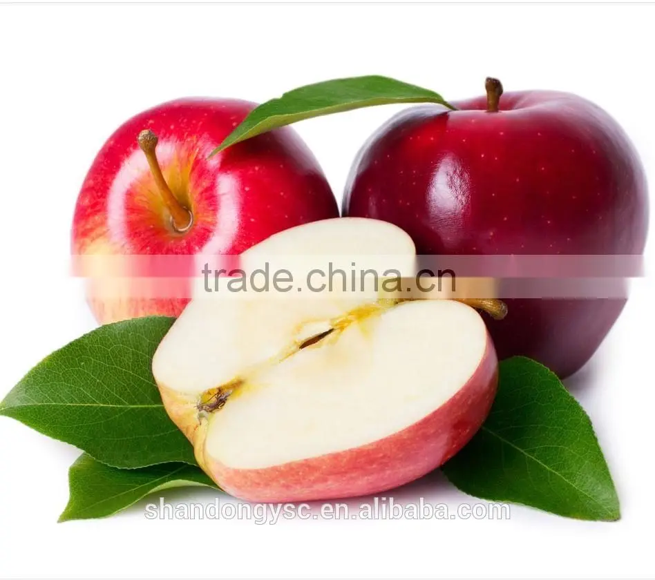 Good quality Fuji apple China red apple export