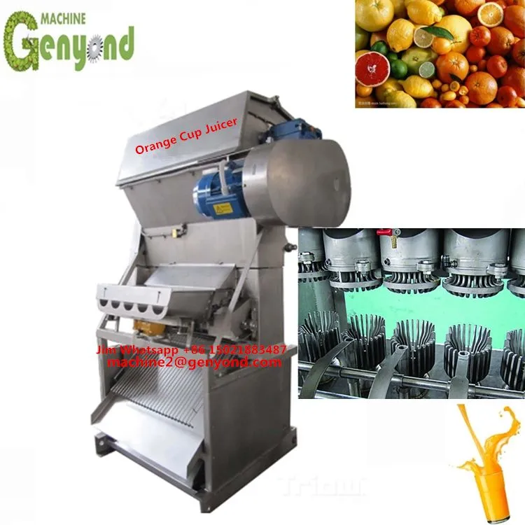 Beverage Fresh Fruit Juice Processing Plant Line Production Line