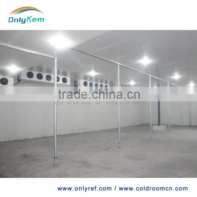 D Serises Commerial Air Cooer for fish and meat