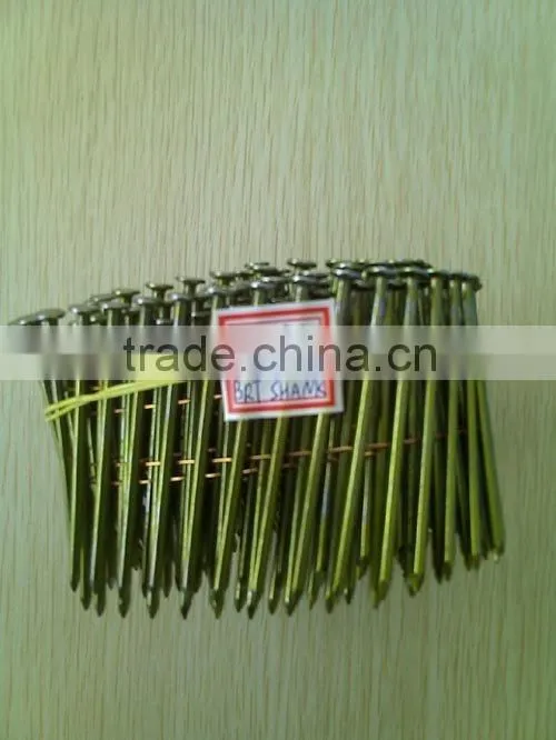 coil nail/fuyu
