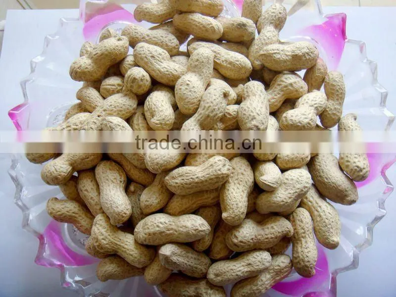 Peanut In shell