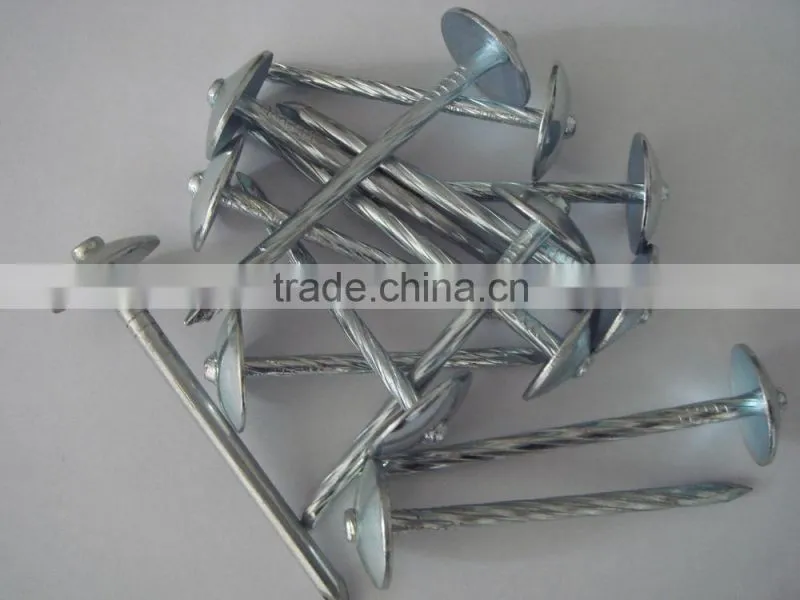 GALVANIZED UMBRELLA HEAD ROOFING NAILS FOR KENYA MARKET