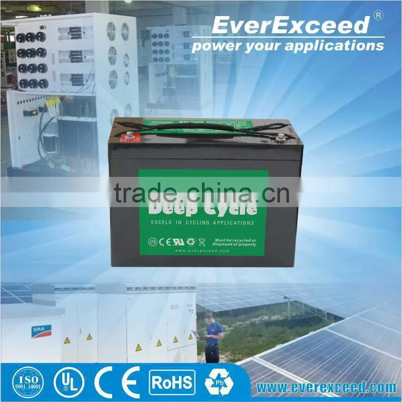 Everexceed deep cycle agm batteries 12V 35Ah DP-1235
