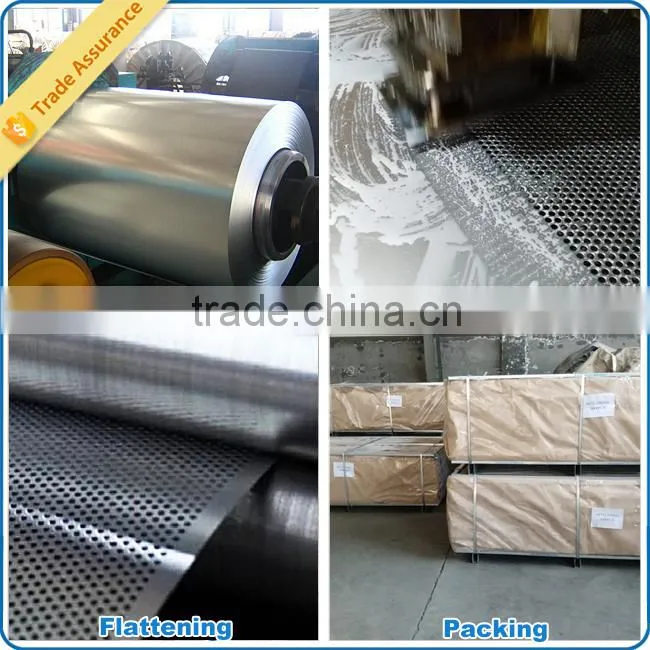 Perforated Metal with Competitive Price Widely Used as Agriculture Equipment