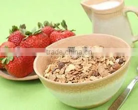 Factory direct selling economical good quality Breakfast Cereals making machinery