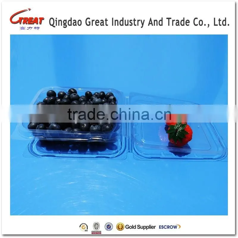 Small Square Clear Plastic Blueberry Container Clamshell