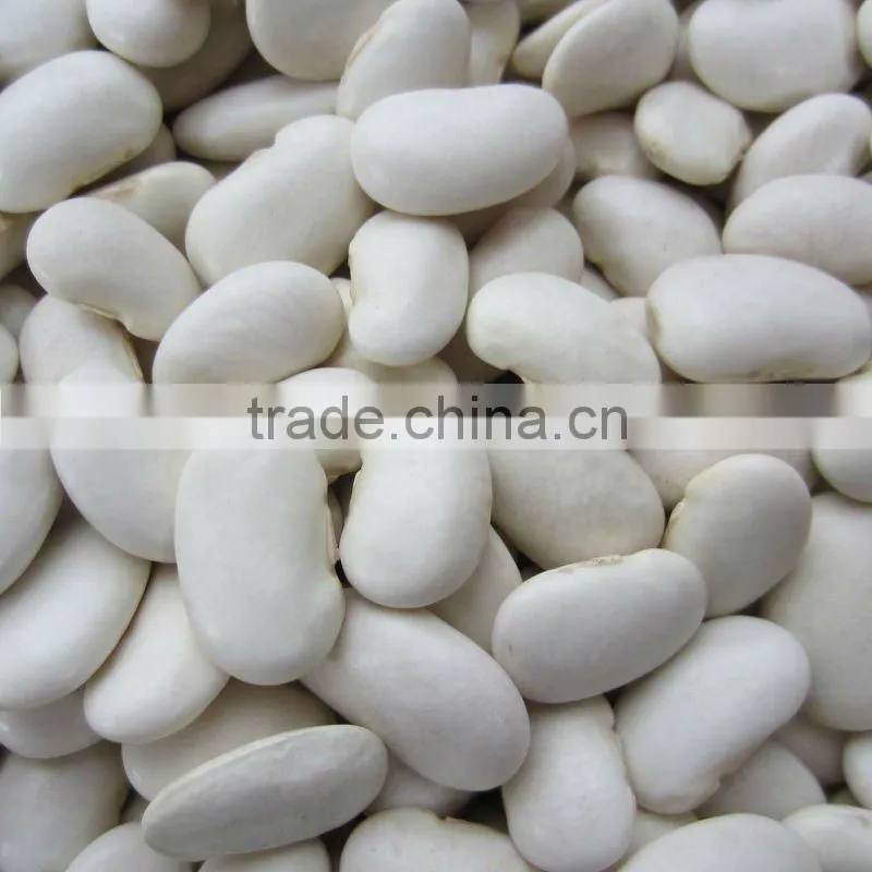 Low price large white kidney beans
