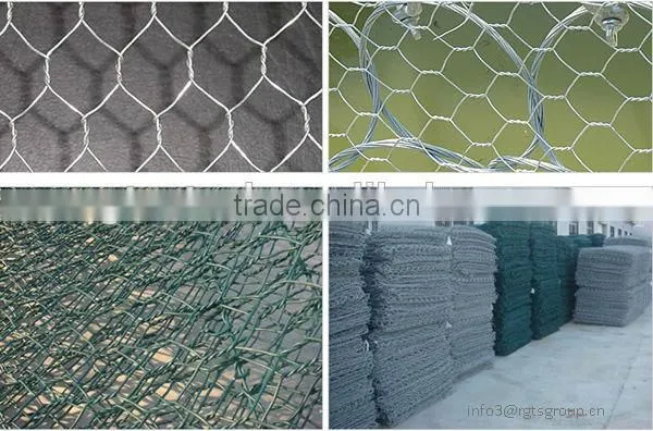 hot sale prime hexagonal wire mesh/ chicken wire mesh with low price