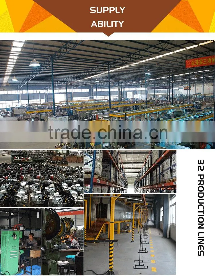 Small 13Hp Petrol/Gasoline Engine With Professional Assembly Line