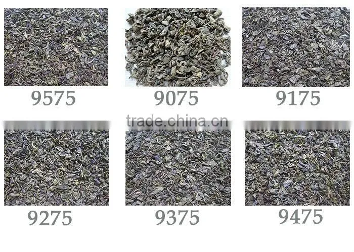 Chinese special grade dry slim green tea