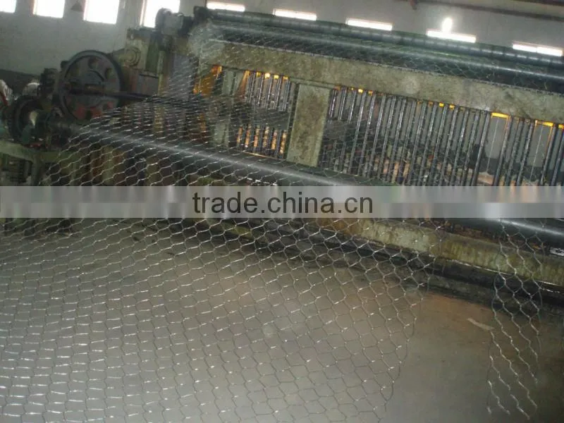 gabbione/gabiens/gabion mesh