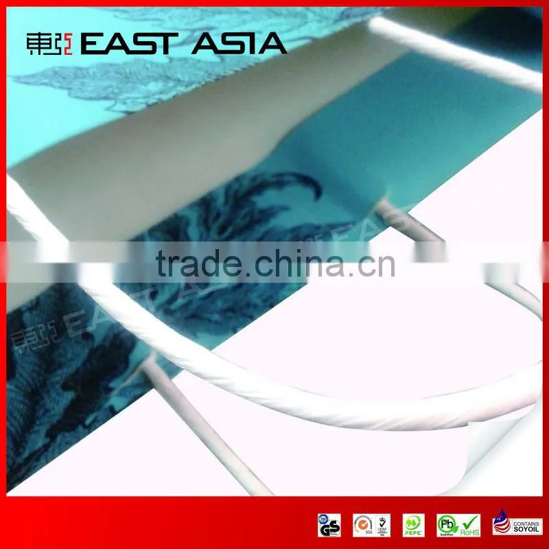 Strong Full Colored Promotional Paper Bags with Twist Handle