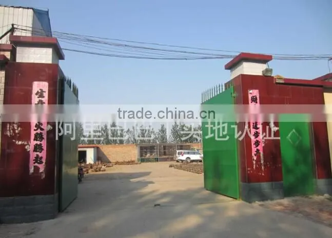 single cone bit/palm for tci tricone bit for well drilling from hebei manufacturer