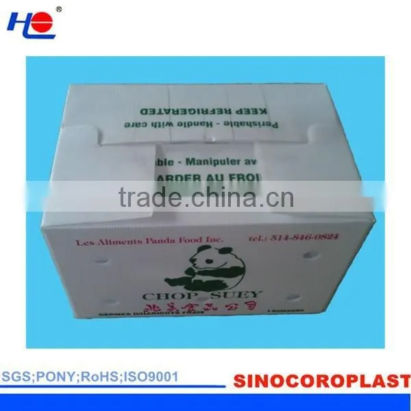 PP Corrugated Mailing Shipping Box