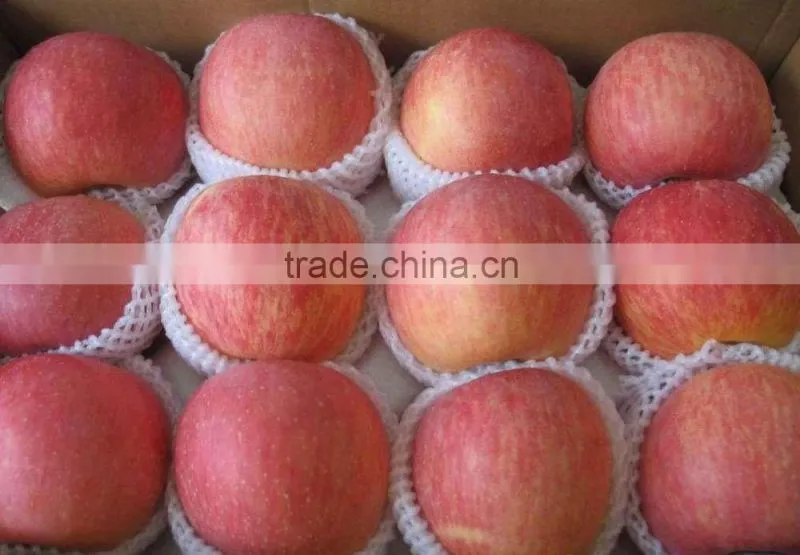 Latest red apple price/sweet red fresh apple for sale