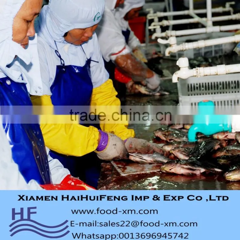 China frozen tilapia fillet, skinless and boneless PBO/PBI ,2-3oz,3-5oz,5-7oz