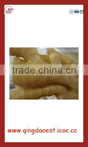 Chinese Fresh Ginger