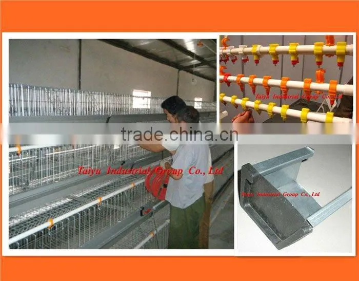 Ladder type poultry cage (Export standard battery cage system, Anti-corrosive)