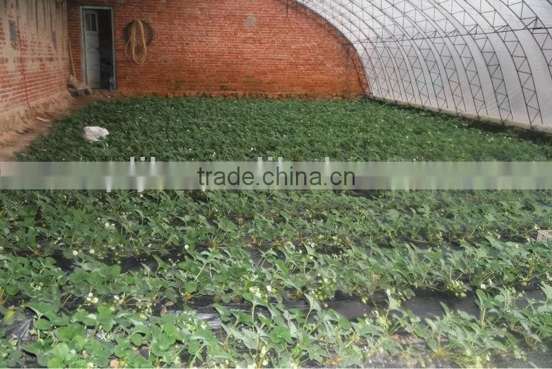 lowest price fertilizer humus fertilizer