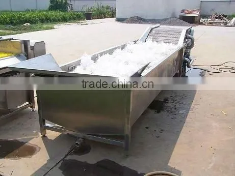 WANDA hot seller fruit washing machine