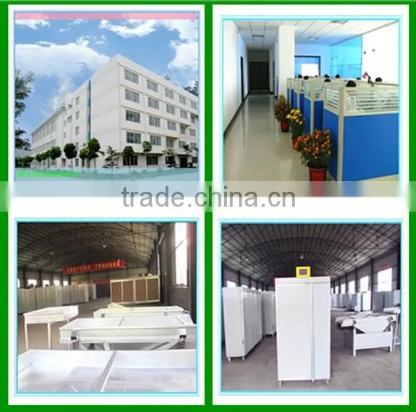 China vaccum packing machine 008615514501051
