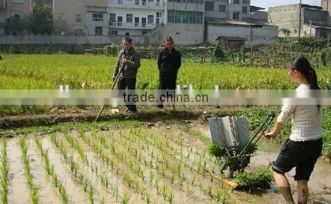 manual rice transplanter for sale
