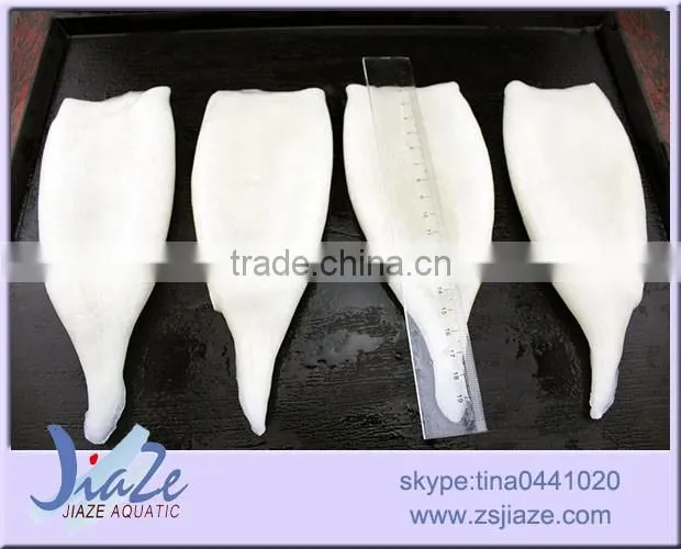 todarodes/loligo/gaint squid/frozen squid tube U5 U7 U10 U20
