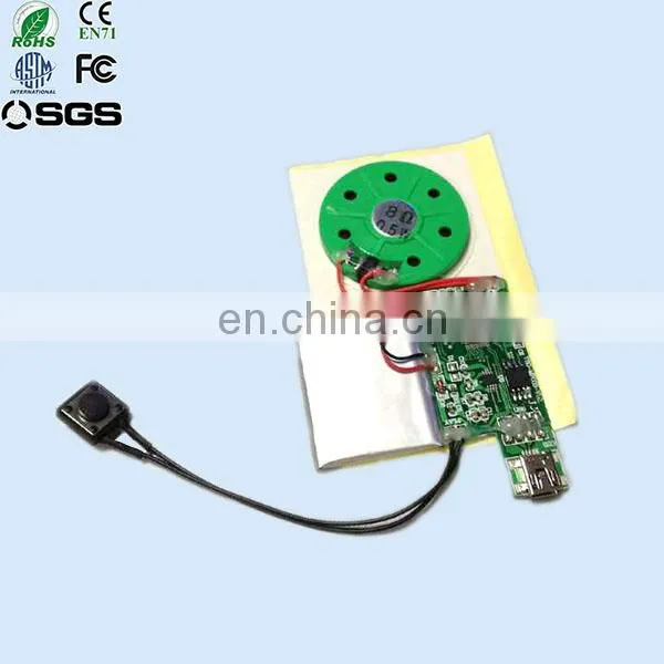 Custom Greeting Card Sound Module Made in China