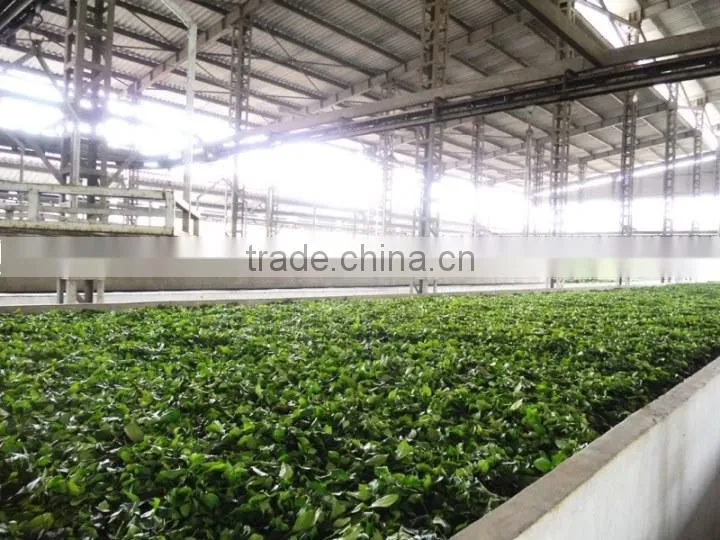 Orient Vietnam Company Limited company overview - view 2