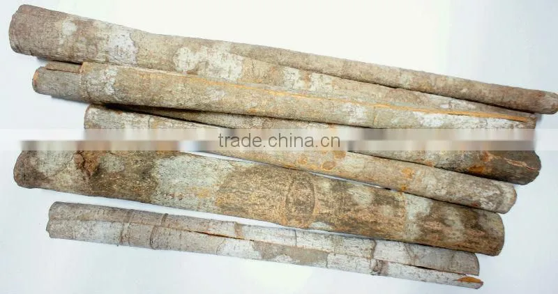 hot sale whole cassia 2016