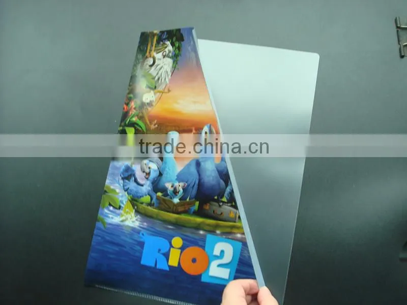 L Shape Full Color File Folder