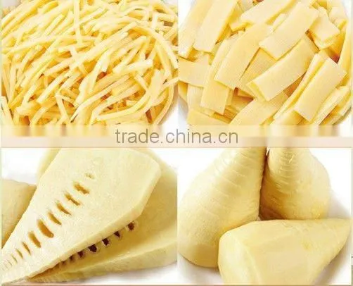 bamboo shoot slice in brine