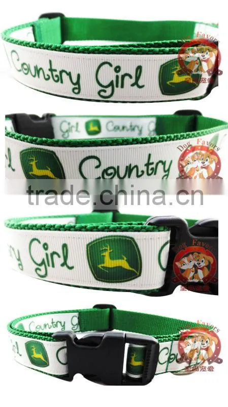 Dog Training Collars