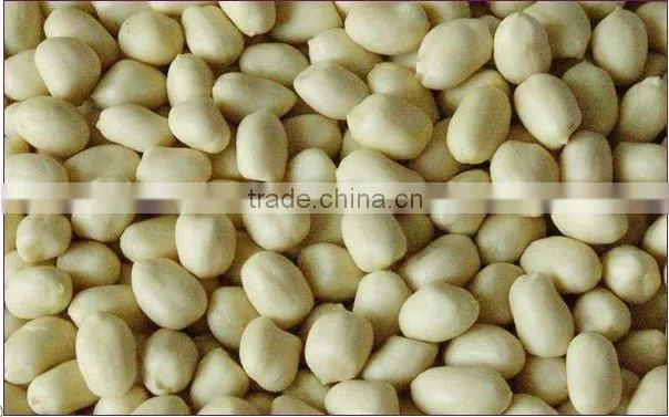 roasted Shelled Peanut