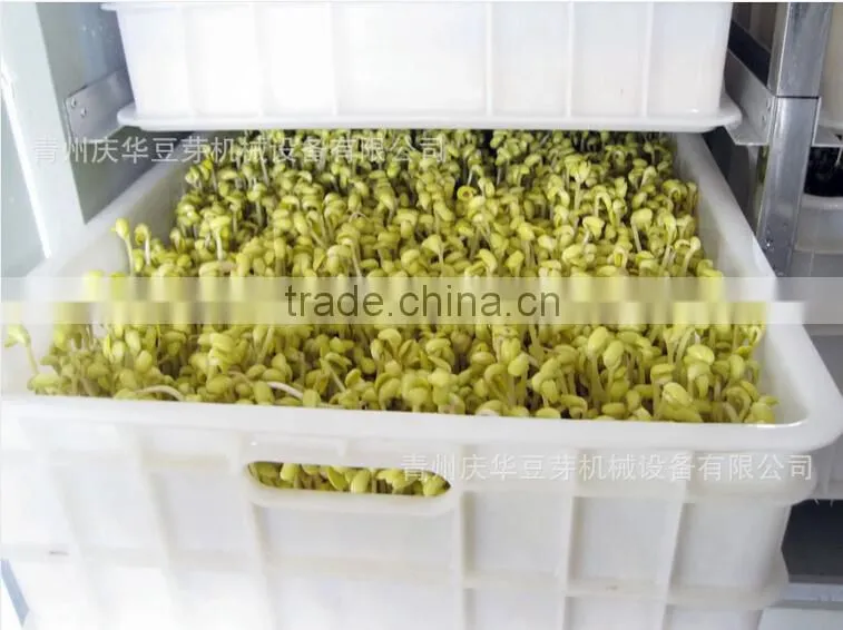 Hot Sale Automatic bean sprout growing machine, Bean Sprouting Machine,Bean Sprout Machine Price